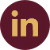Social icon 1