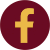 Social icon 2