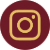 Social icon 3